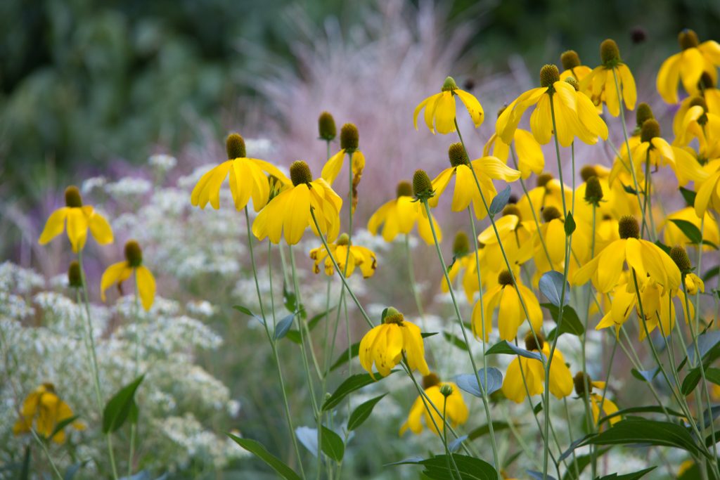 Photo: Der Hermannshof - das Gartenparadies