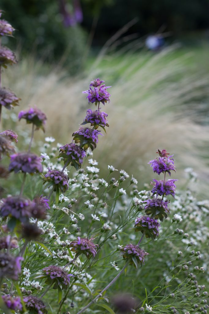 Photo: Der Hermannshof - das Gartenparadies