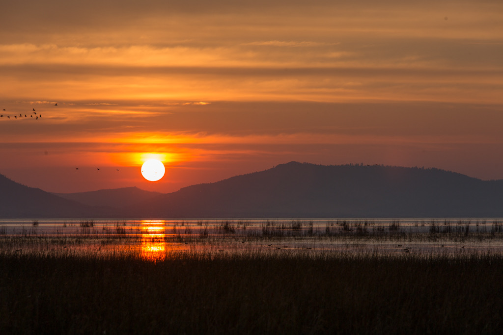 Photo: Sunset at Goose Lake