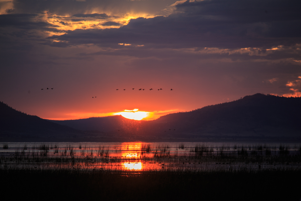Bild: Another Goose Lake sunset Photo: Another Goose Lake sunset