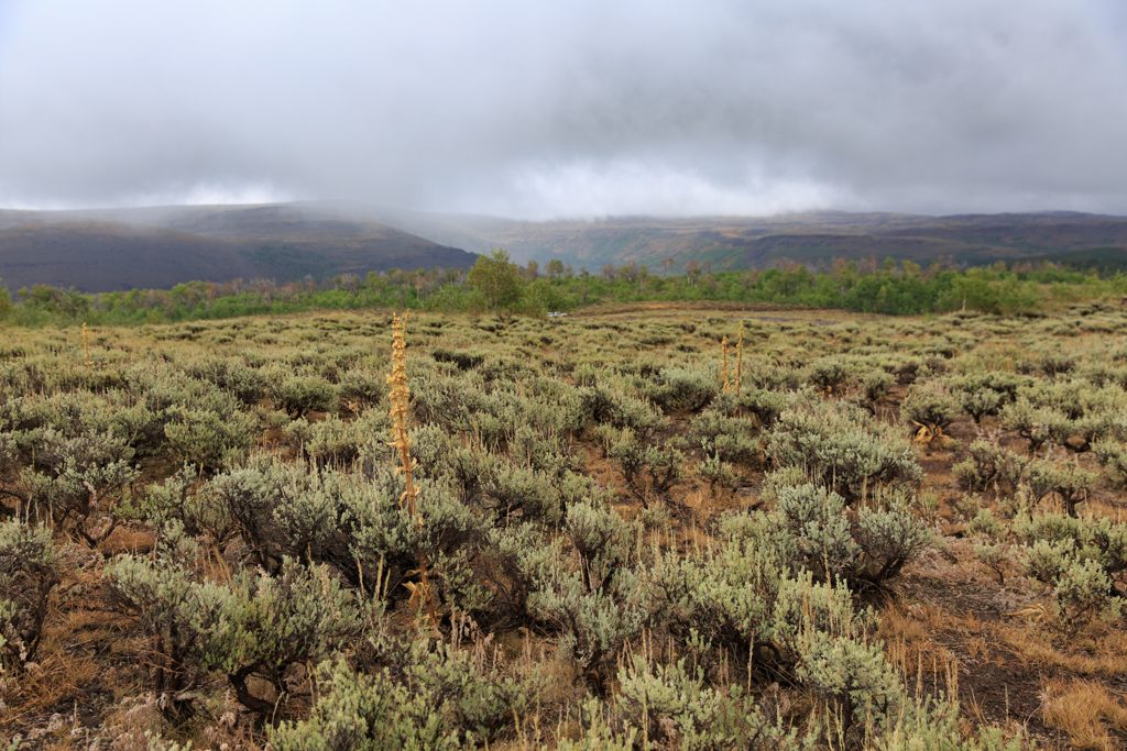 Photo: Schnee und Strecke