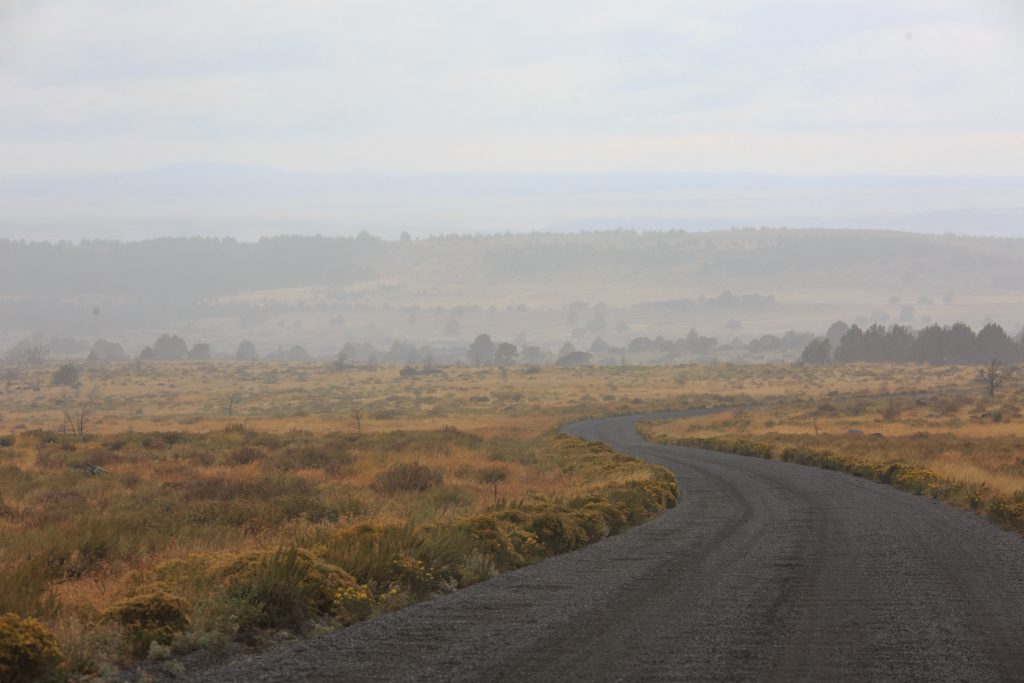 Photo: Schnee und Strecke