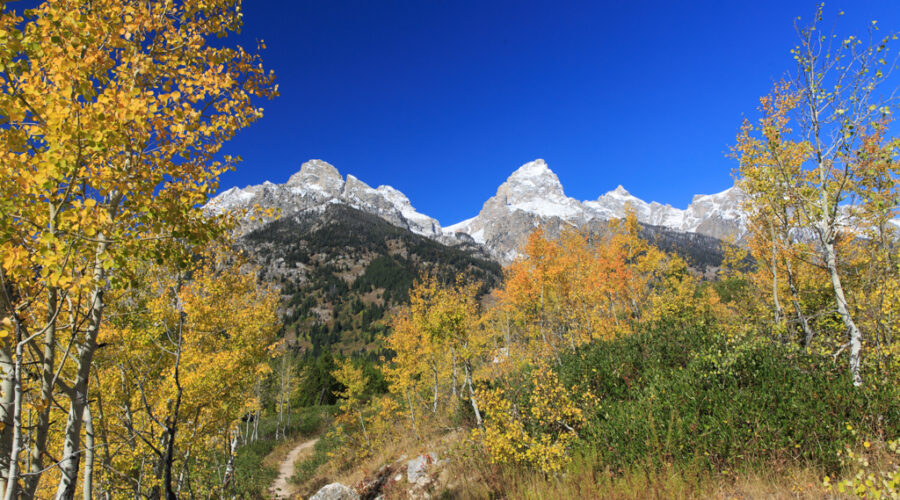 Grand Teton Nationalpark Herbst