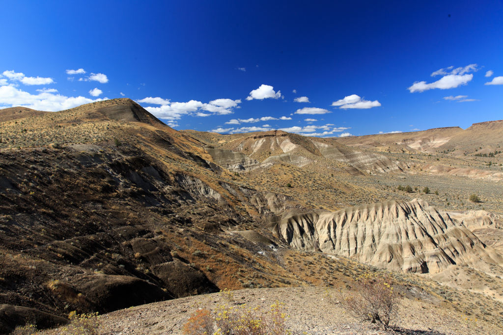 Photo: Ein Fenster in die Erdgeschichte: John Day Fossil Beds