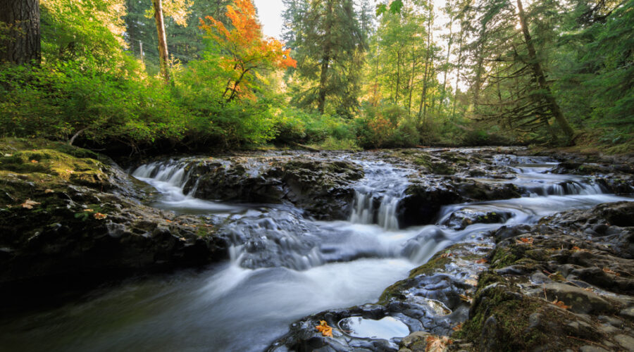 Photo: Sweet waters. And virtual becomes real.