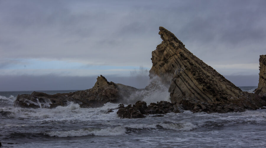 Cape Arago Felsen Oregon Küste