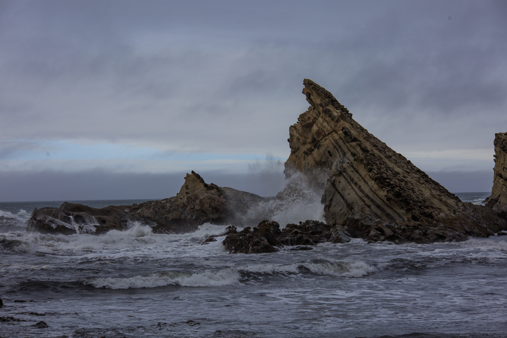 Cape Arago Felsen Oregon Küste