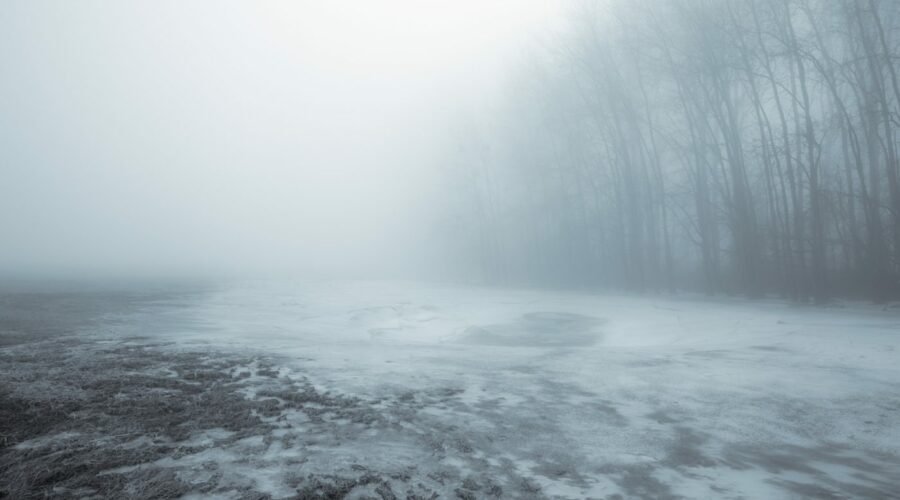 In Nebel und Eis am Rhein entlang, Winter