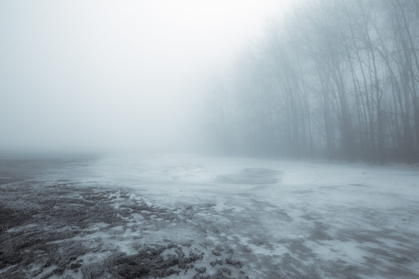 In Nebel und Eis am Rhein entlang, Winter