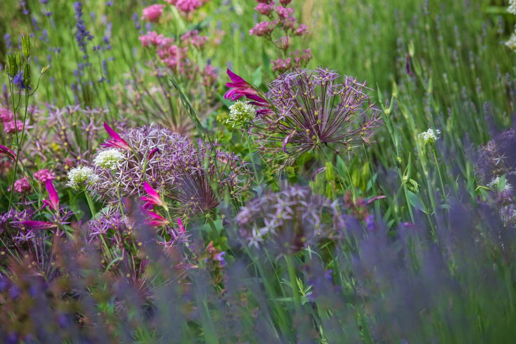 Photo: Der Hermannshof - das Gartenparadies