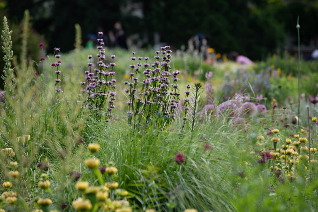 Photo: Der Hermannshof - das Gartenparadies