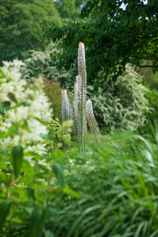 Photo: Der Hermannshof - das Gartenparadies