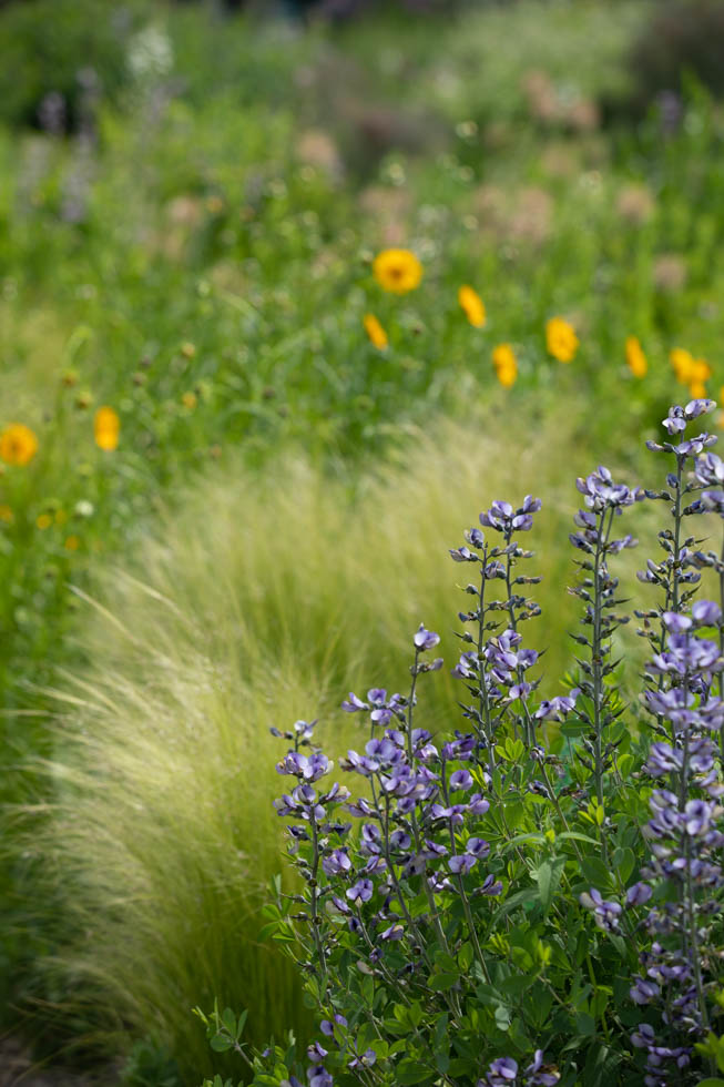Photo: Der Hermannshof - das Gartenparadies