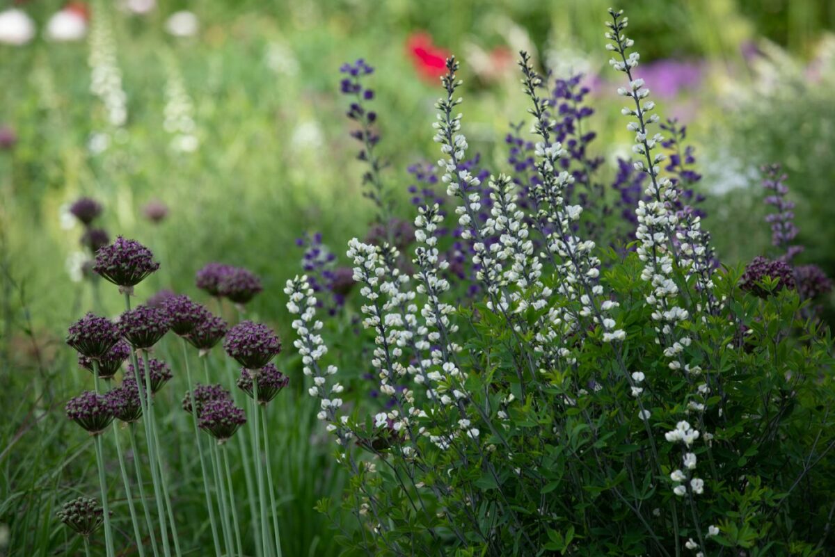 Photo: Der Hermannshof - das Gartenparadies