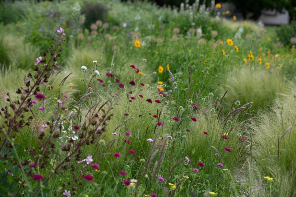 Photo: Der Hermannshof - das Gartenparadies