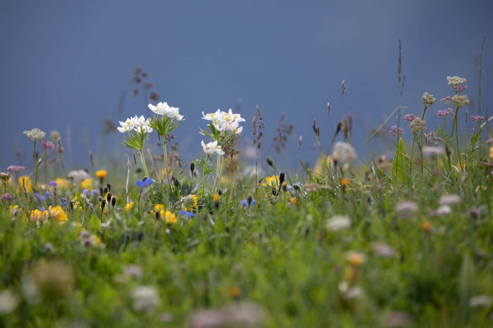 Photo: Ein Tag in den Alpen - Die Churfirsten