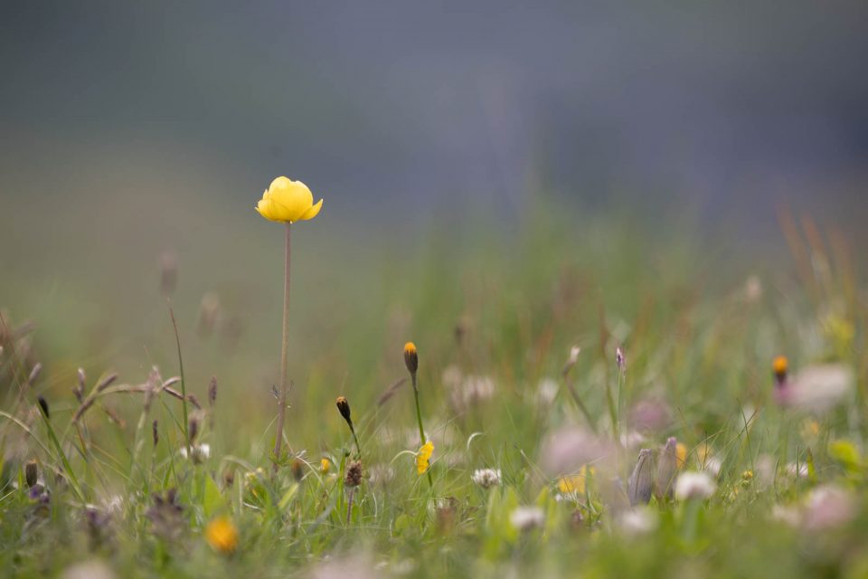 Photo: Ein Tag in den Alpen - Die Churfirsten