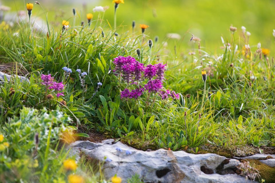 Photo: Ein Tag in den Alpen - Die Churfirsten
