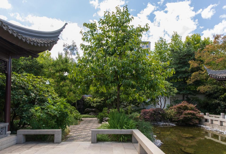 Photo: Lan Su, ein chinesischer Garten in Portland