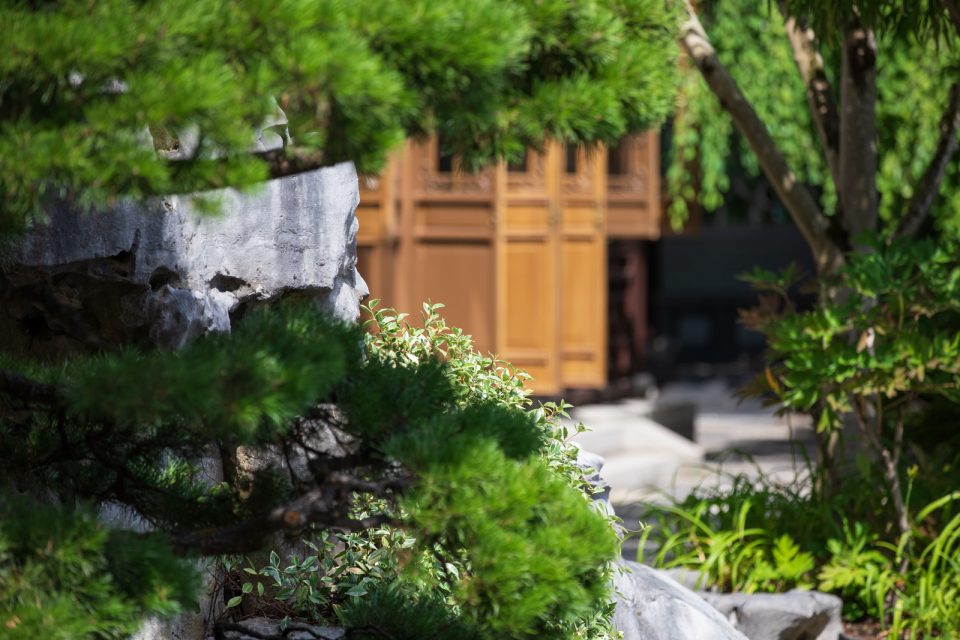 Photo: Lan Su, ein chinesischer Garten in Portland