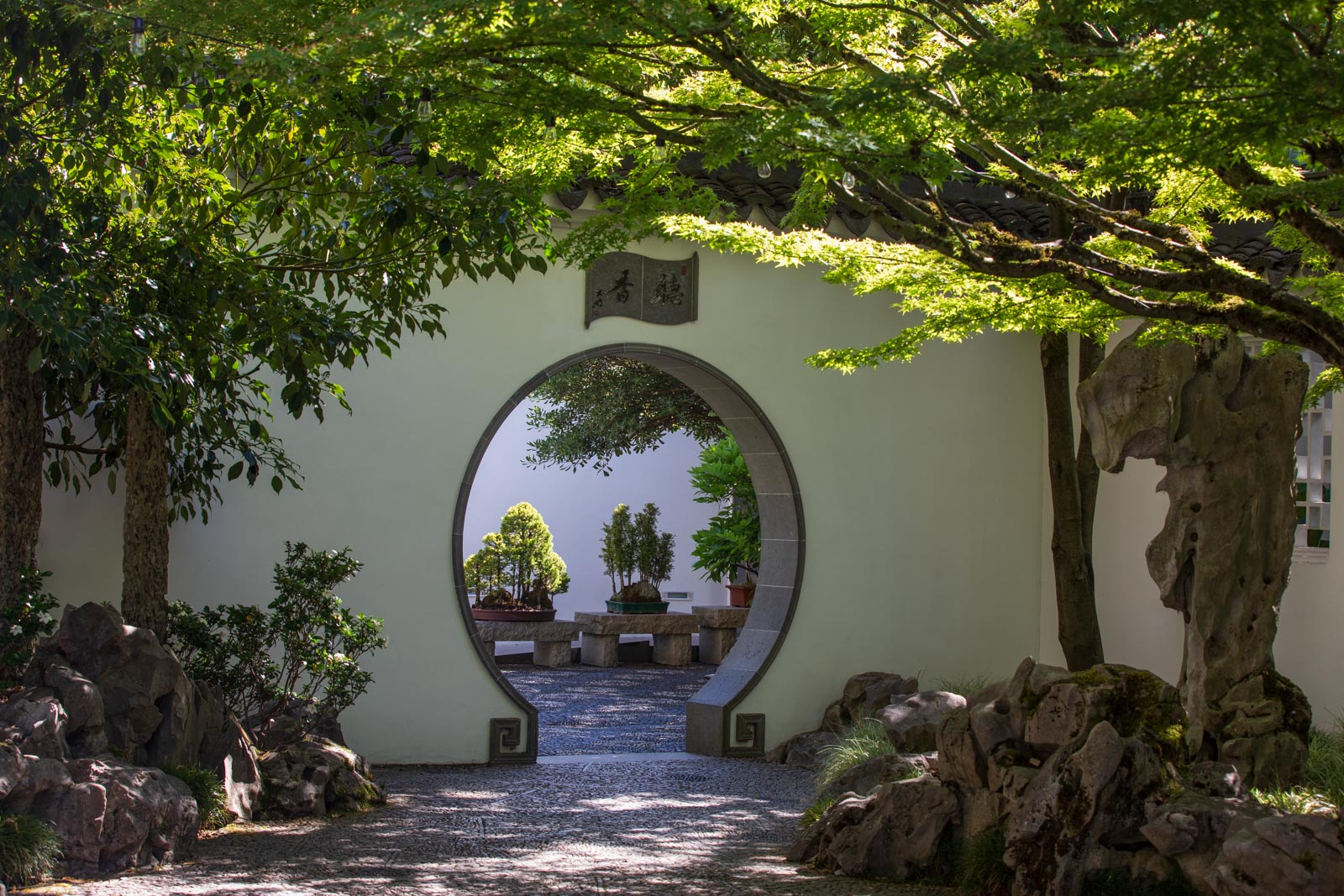 Rundes Tor , Lan Su, Portland, Chinesischer Garten