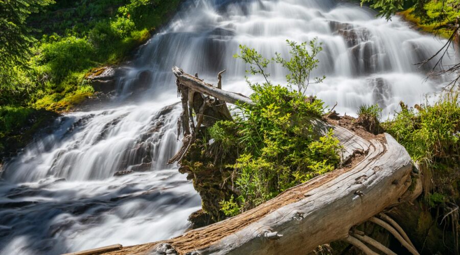 Umbrella Falls, Mt. Hood, Oregon