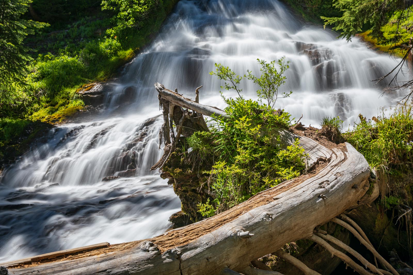 Umbrella Falls, Mt. Hood, Oregon