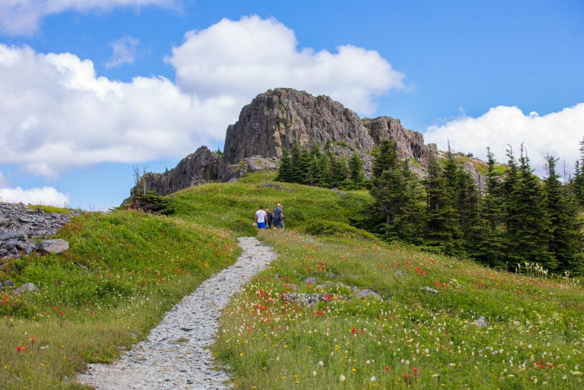 Photo: Gipfelblicke und Blumenwiesen - Silver Star Mountain