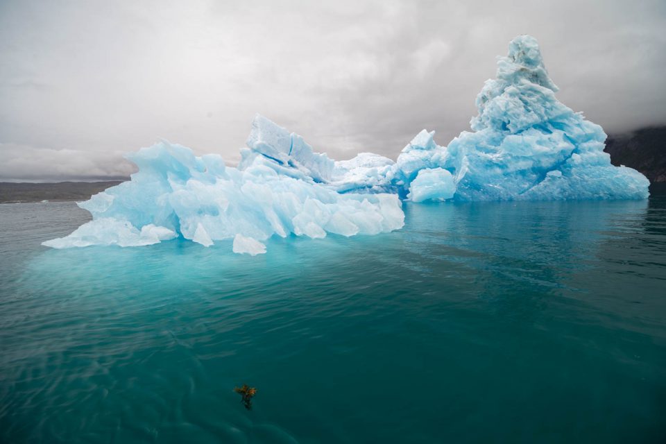 Photo: Der S&uuml;dwesten von Gr&ouml;nland I: Eisberge im Grau