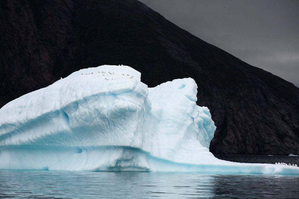 Photo: Der S&uuml;dwesten von Gr&ouml;nland I: Eisberge im Grau