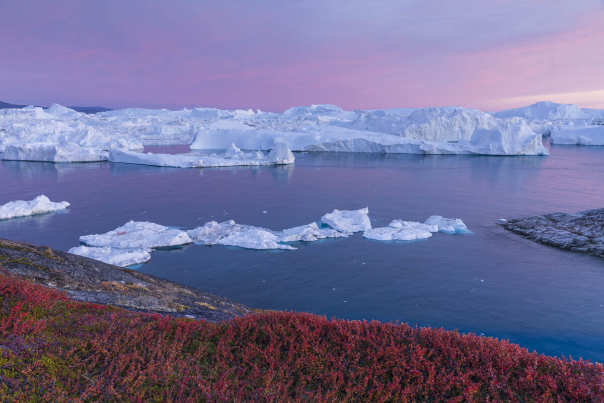 Photo: Ilulissat by night