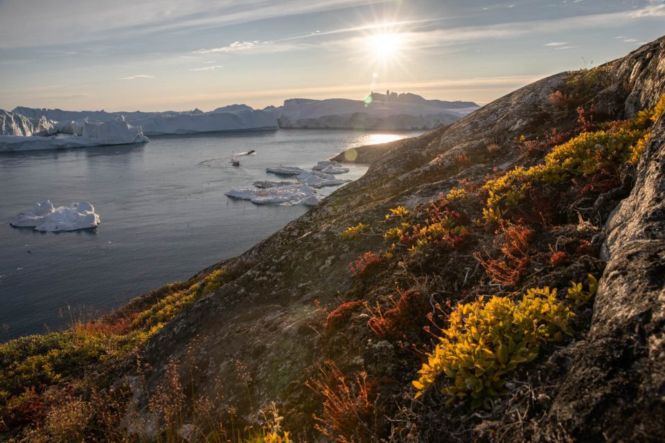 Photo: Ilulissat by night
