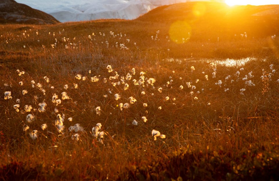 Photo: Ilulissat by night