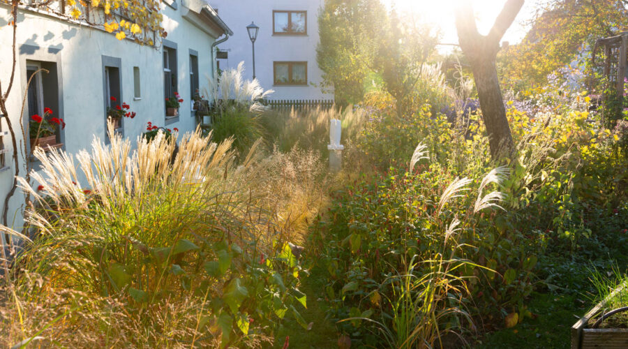 Gräserpfad im Gegenlicht, Garten Schneider Pecoraro-Schneider