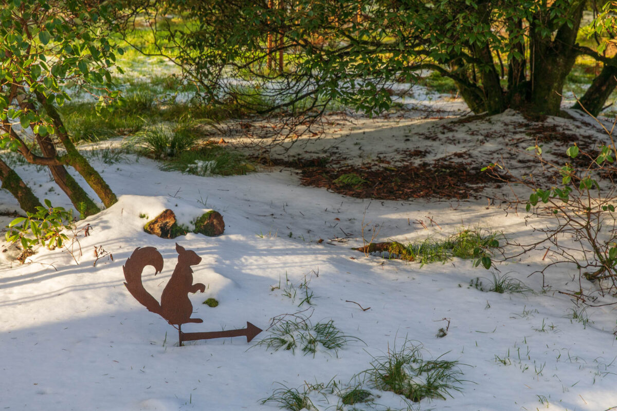 Photo: Benmore - ein botanischer Garten im Winter