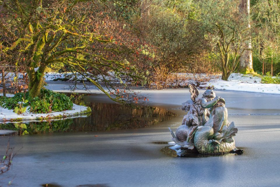 Pond, Benmore Botanic Garden, Schottland