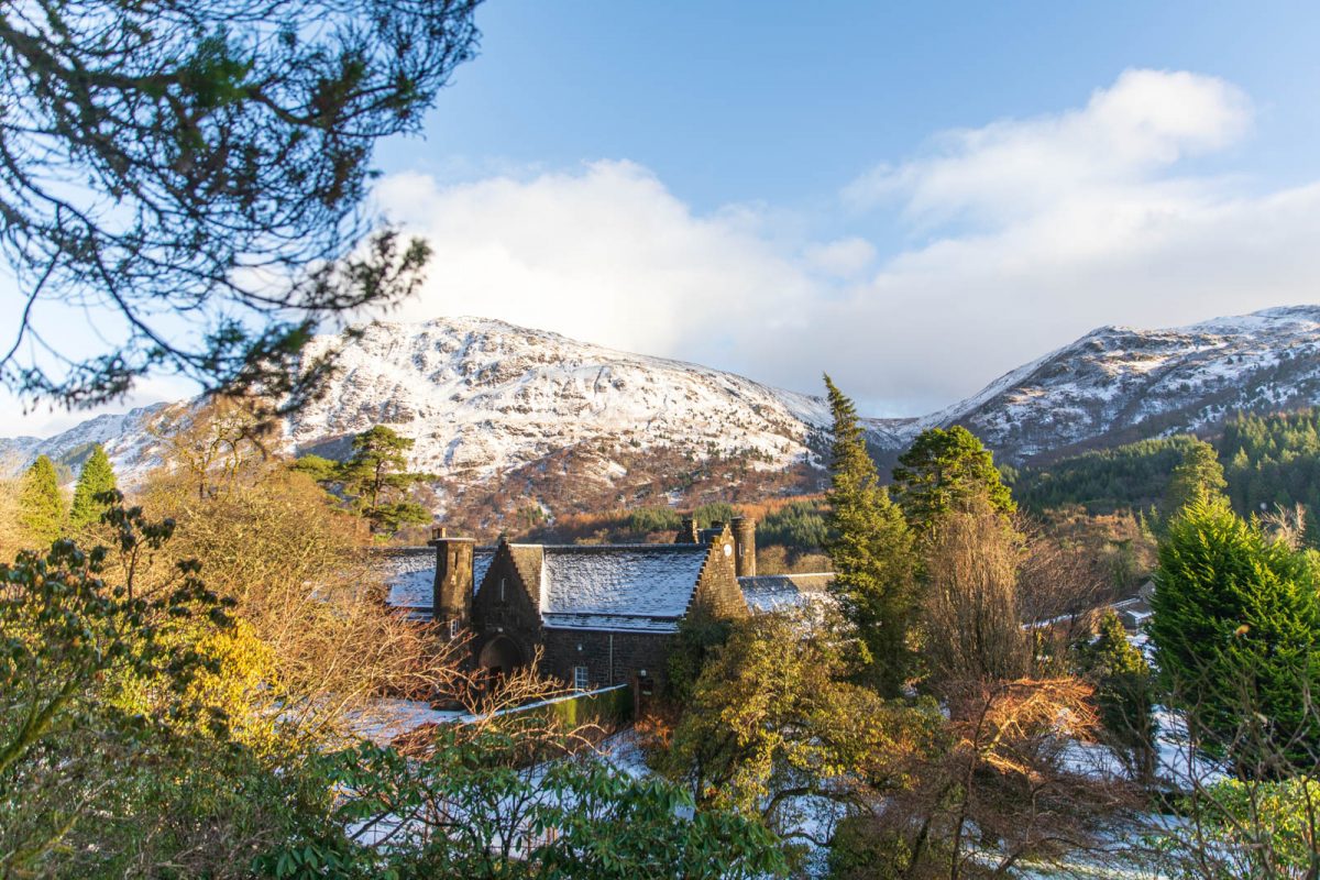 Photo: Benmore - ein botanischer Garten im Winter