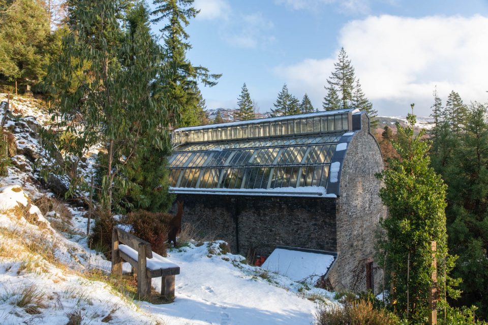 Photo: Benmore - ein botanischer Garten im Winter