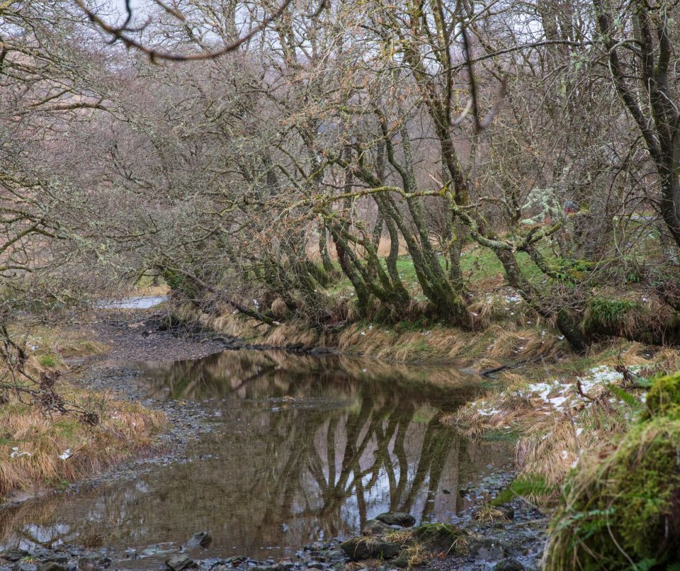 Photo: Scottish Reflections