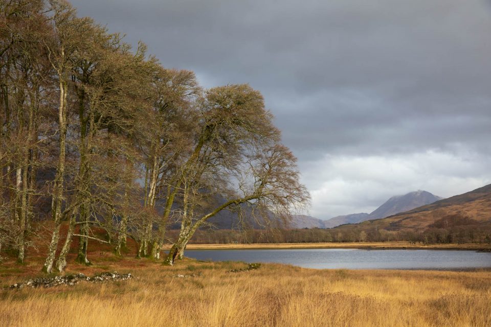 Lichtstimmung am oberen Ende des Loch Awe, Schottland im Winter