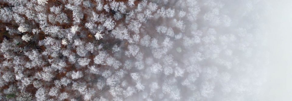 Drohnenfoto, Drohne, Winter, Nebel, Raureif