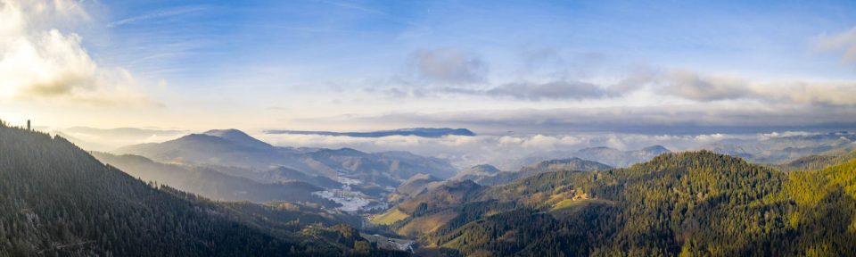 Vom Schwarzwald ins Rheintal