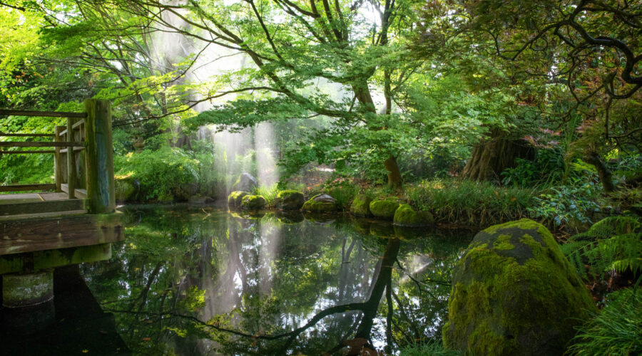 Botanischer Garten San Francisco, japanischer Garten Teich