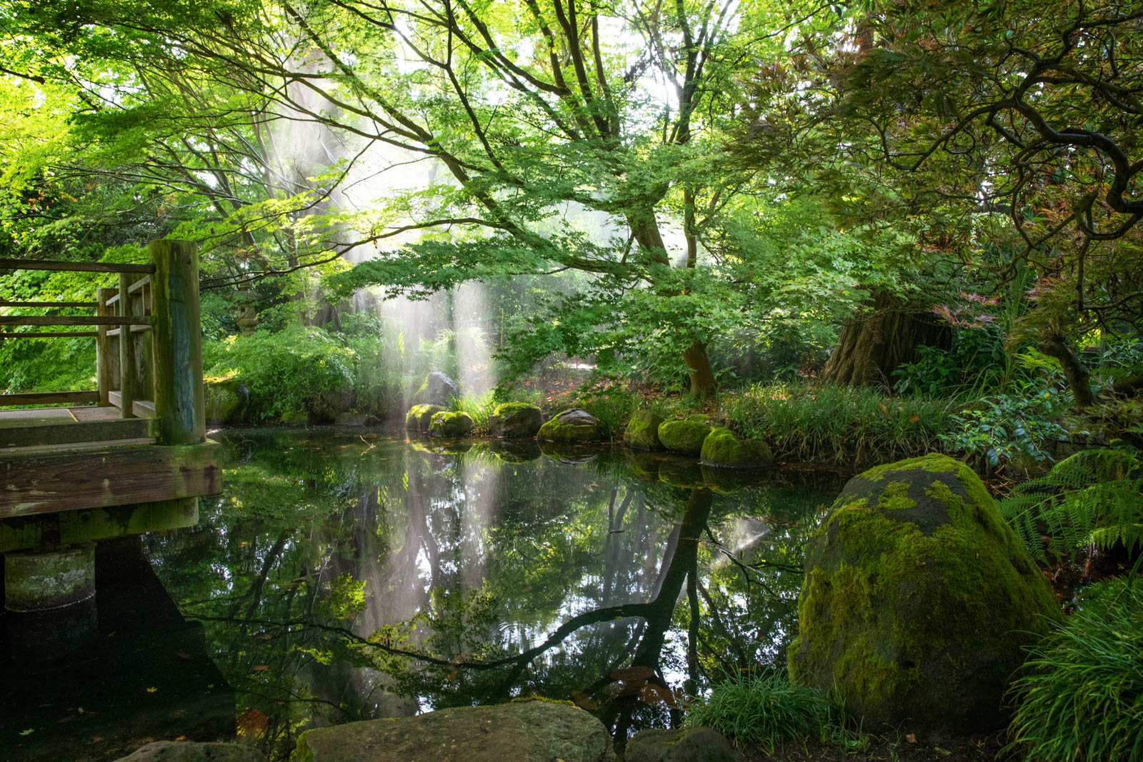 Botanischer Garten San Francisco, japanischer Garten Teich
