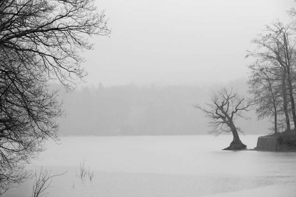 Regen und Nebel am Edersee