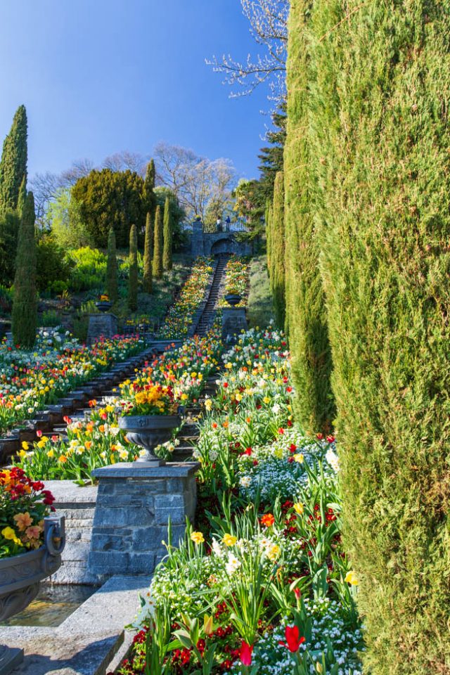 Photo: Mainau im Bl&uuml;tenmeer