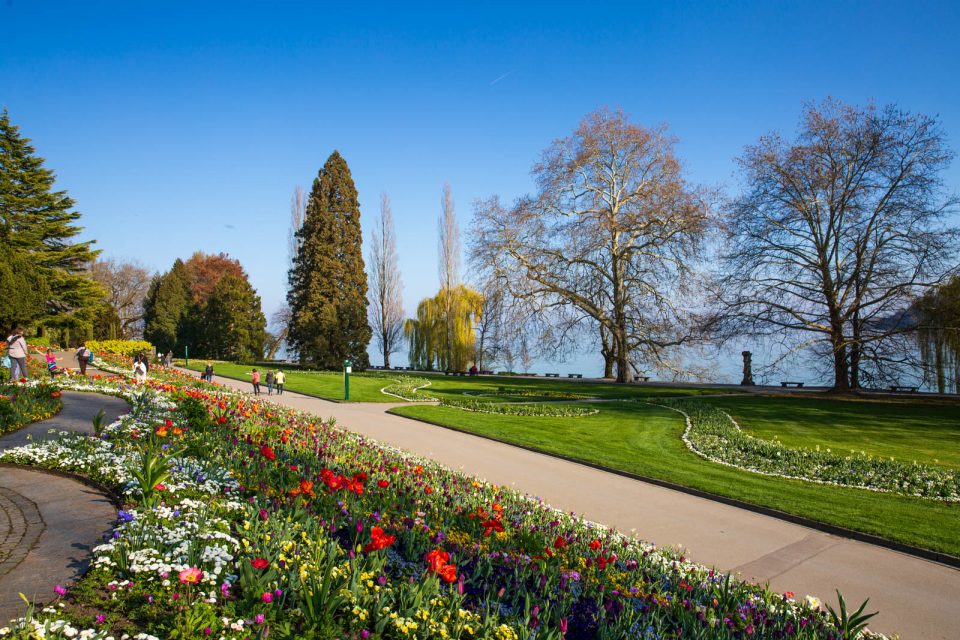 Photo: Mainau im Bl&uuml;tenmeer