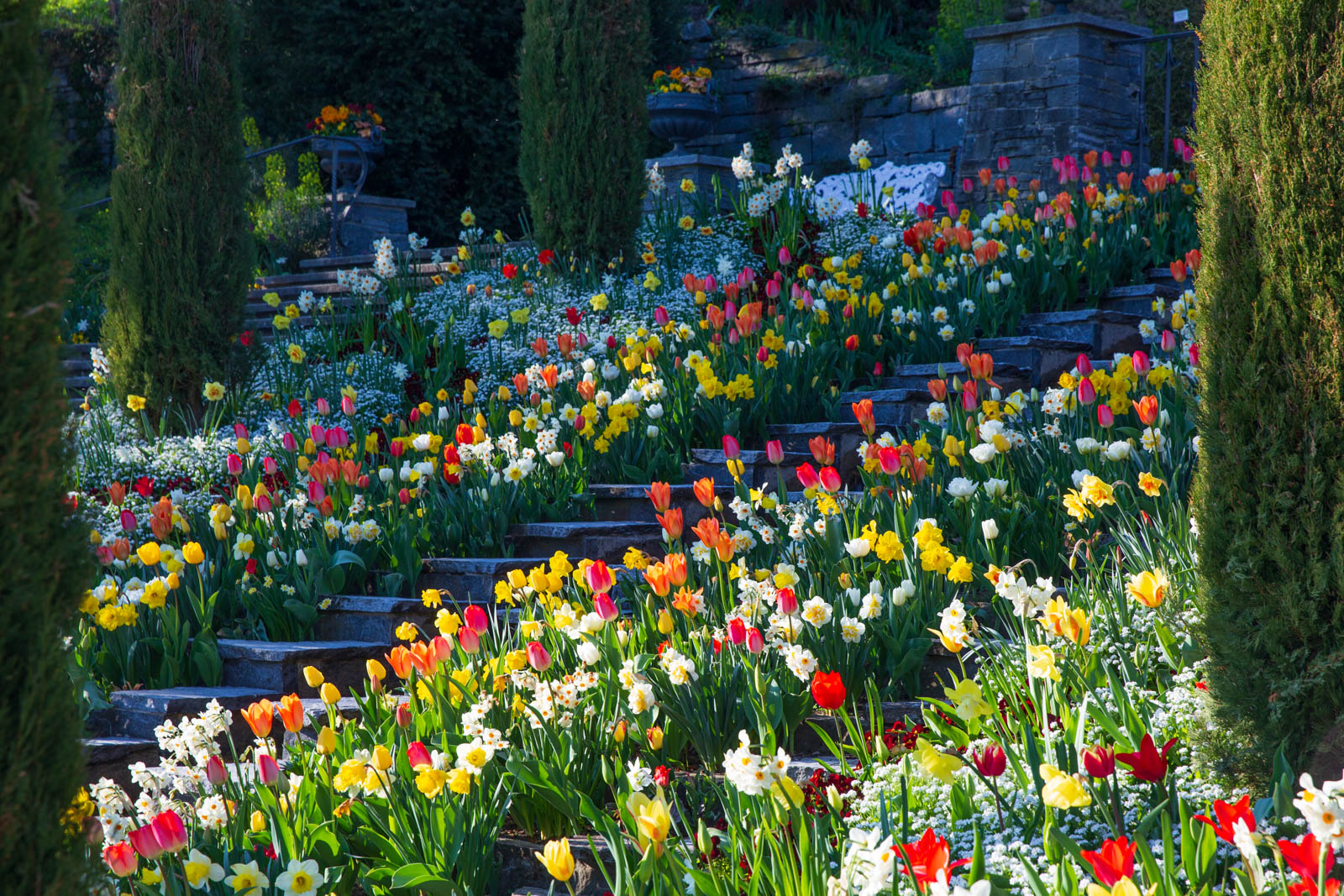 Blumen-Wassertreppe, Mainau, Insel Mainau, Bodensee