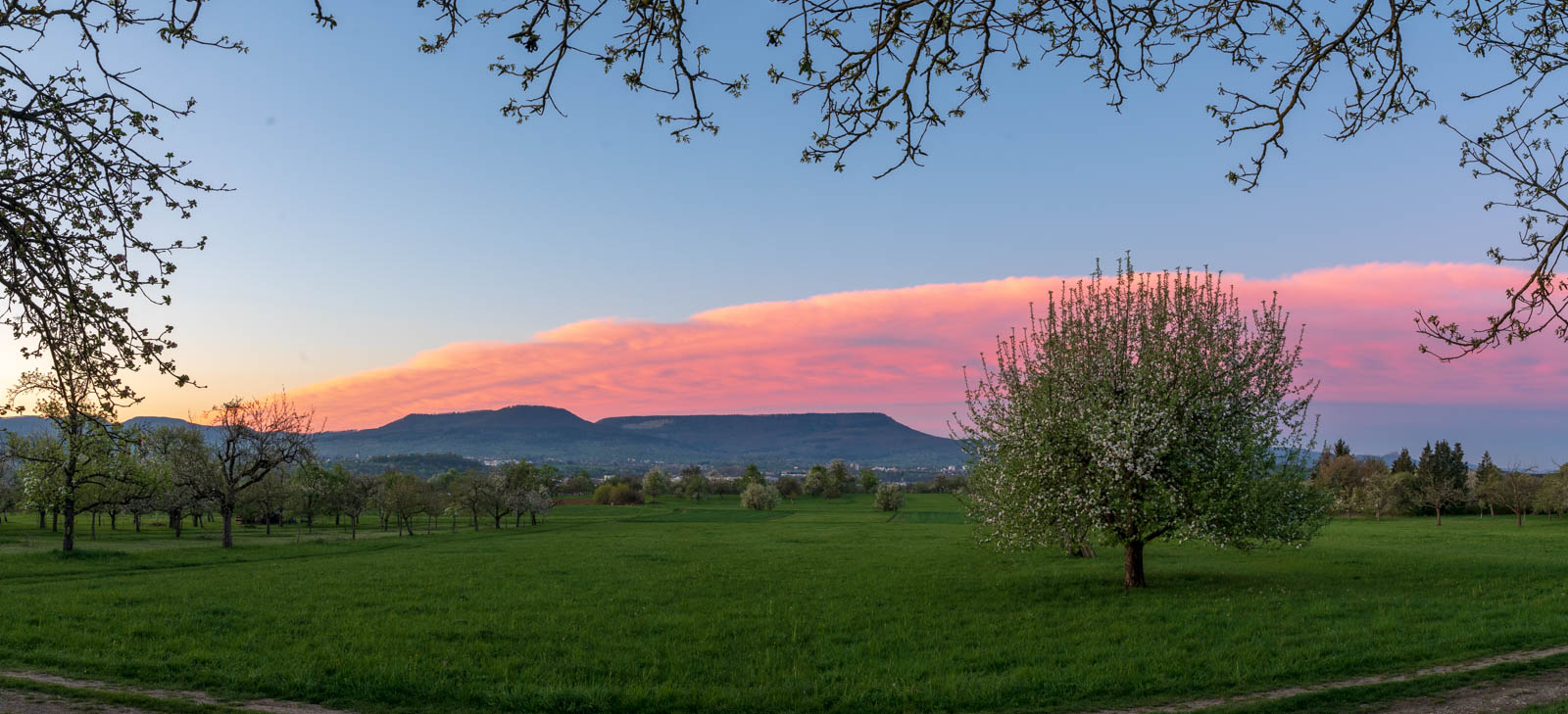 Sonnenaufgang in der Streuobstwiese