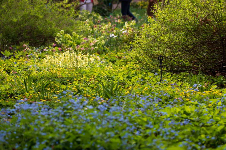Photo: Der Hermannshof - das Gartenparadies